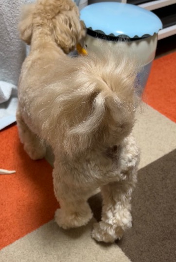 生き物ルーム第59