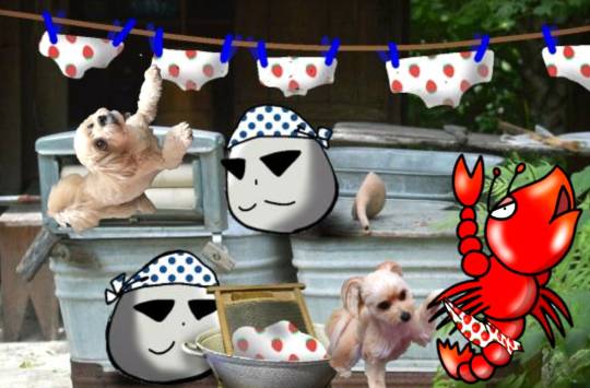 生き物ルーム第59