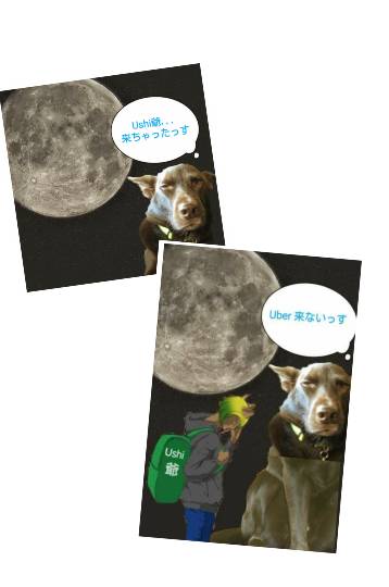 生き物ルーム第59