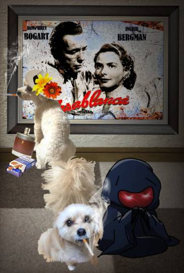 生き物ルーム第59