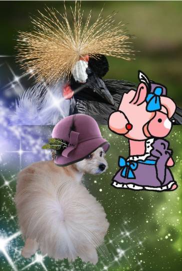 生き物ルーム第59