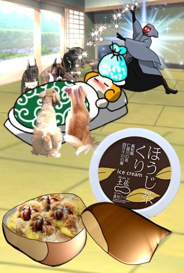 生き物ルーム第59