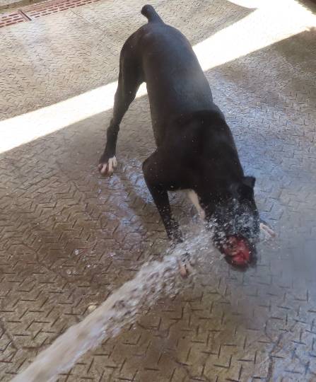 生き物ルーム第59