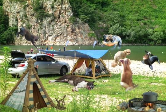 生き物ルーム第59