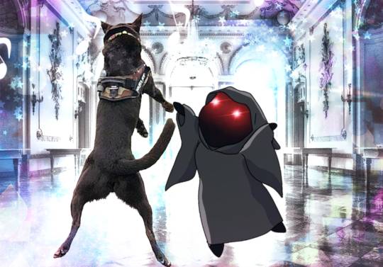 生き物ルーム第59