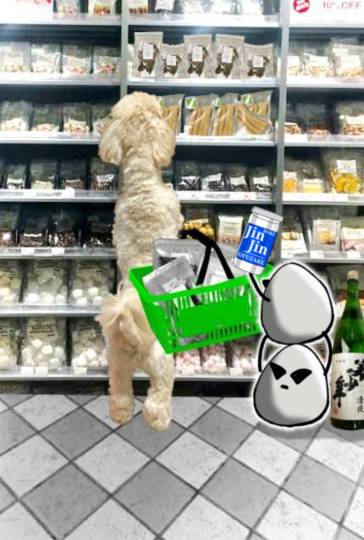 生き物ルーム第59