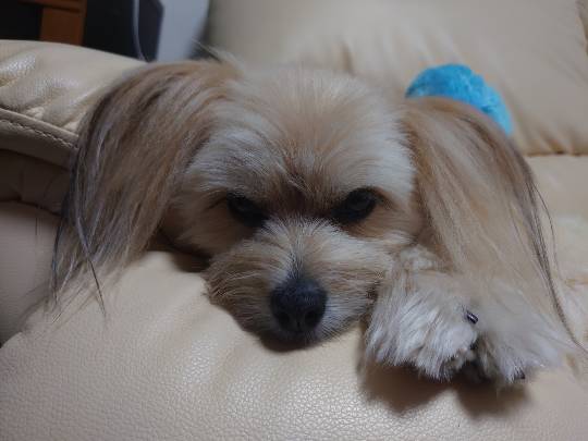 生き物ルーム第59