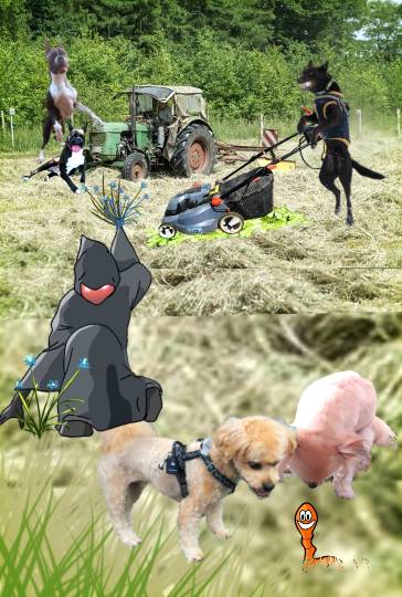 生き物ルーム第59