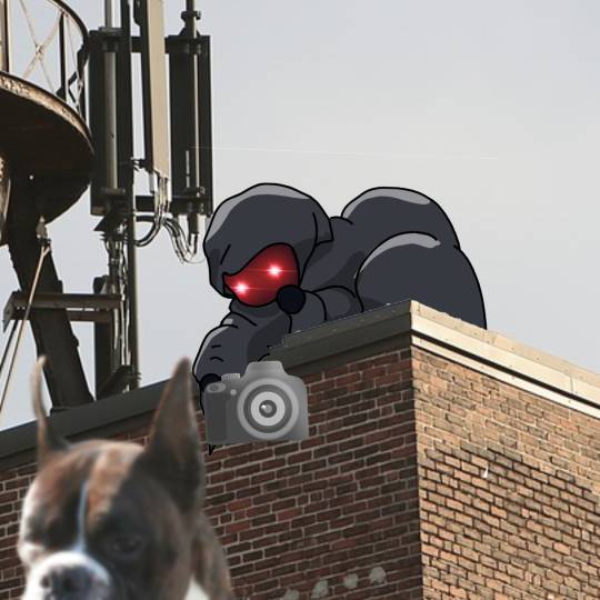 生き物ルーム第59