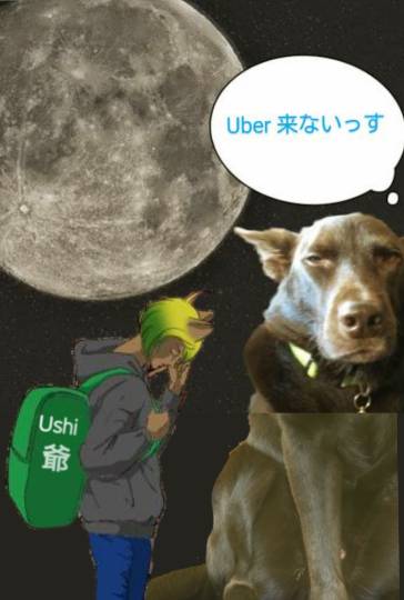 生き物ルーム第59