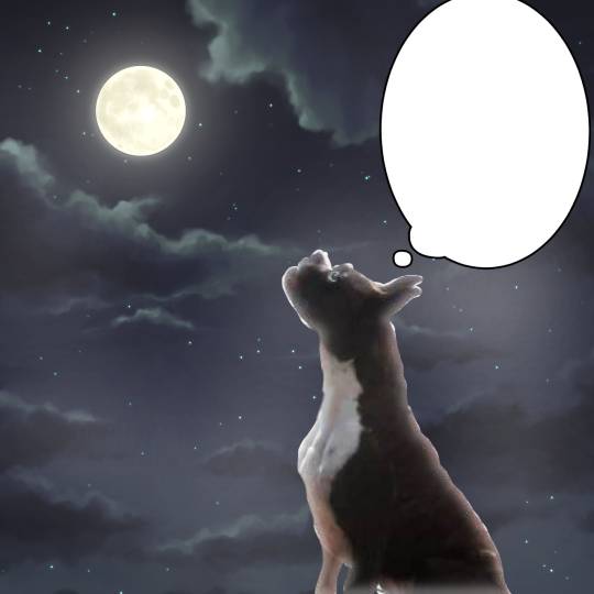 生き物ルーム第59