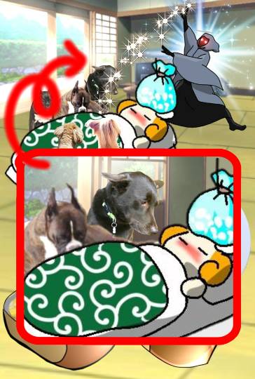 生き物ルーム第59