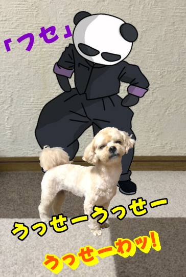 生き物ルーム第59