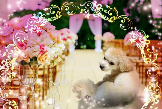 生き物ルーム第59