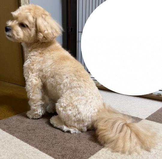 生き物ルーム第59