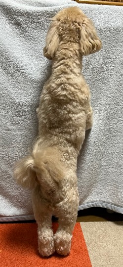 生き物ルーム第59