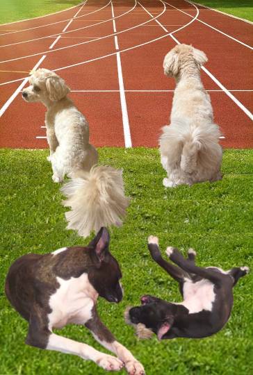 生き物ルーム第59