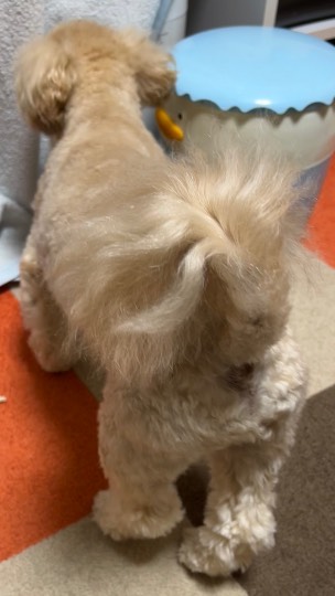 生き物ルーム第59