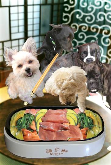 生き物ルーム第59