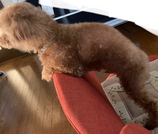 生き物ルーム第59