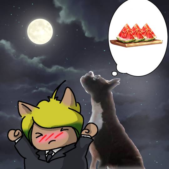 生き物ルーム第59