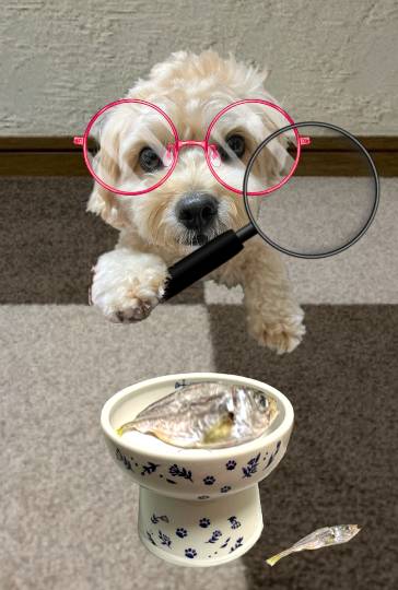 生き物ルーム第59