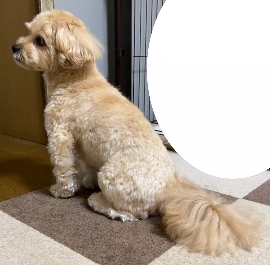 生き物ルーム第59