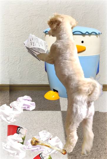 生き物ルーム第59