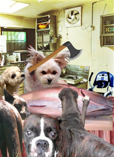 生き物ルーム第59