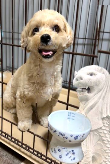 生き物ルーム第59