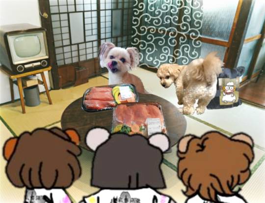 生き物ルーム第59