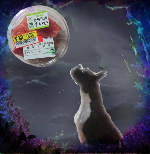 生き物ルーム第59