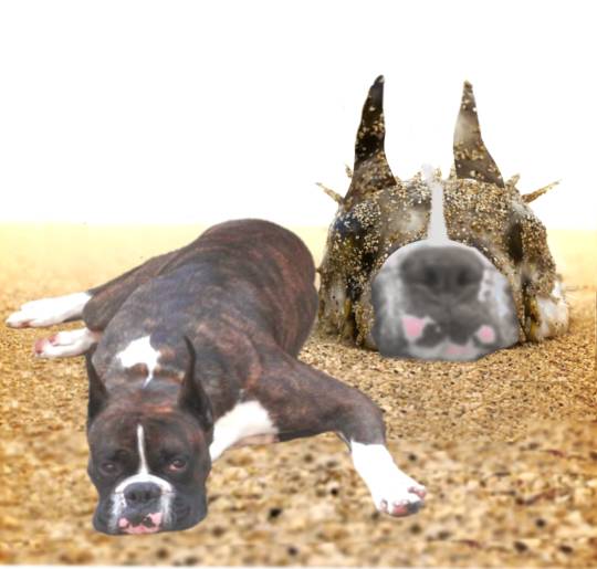 生き物ルーム第59