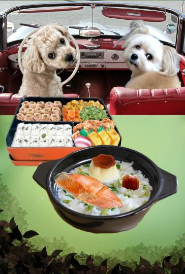 生き物ルーム第59