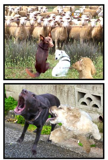 生き物ルーム第59