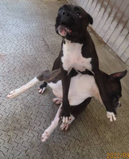 生き物ルーム第59