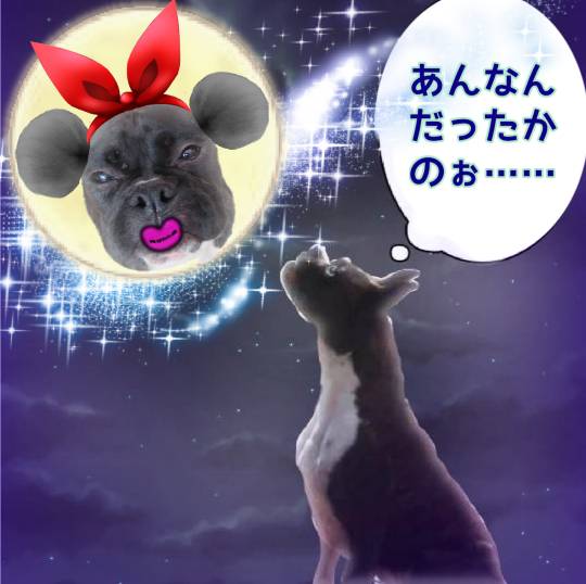 生き物ルーム第59