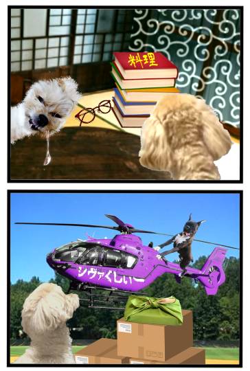 生き物ルーム第59