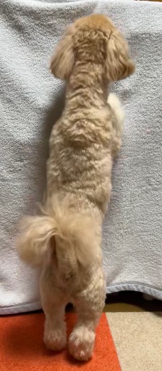 生き物ルーム第59