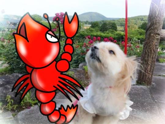 生き物ルーム第59