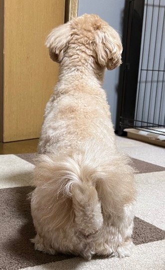 生き物ルーム第59