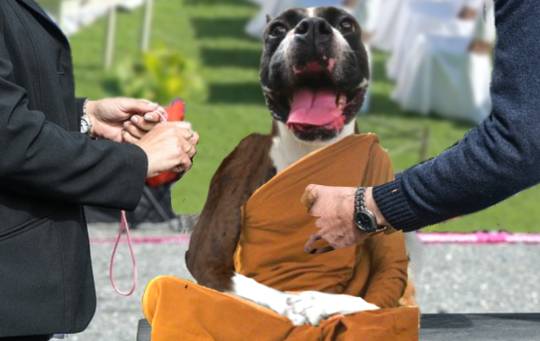 生き物ルーム第59