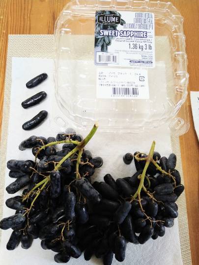 10月12日(水曜日)　守山倉庫店｜おはようございます。
本日、湯田ヨーグ...