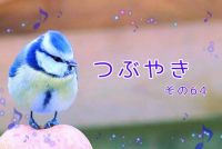 つぶやき　その64