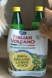 2月21日(火曜日)　広島倉庫店｜12時頃の情報です。

他倉庫にキャ...