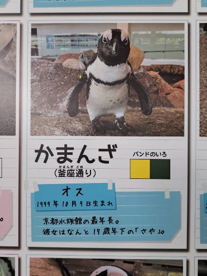 あつまれ！！雑談&amp;ゲーム･アニメ･漫画好きの森　season２#１８