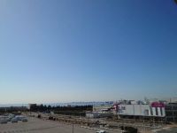 3月3日(金曜日)　幕張倉庫店｜米粉ロール　あり
ストロベリーチーズク...