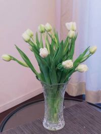 3月3日(金曜日)　広島倉庫店｜こんにちは。オンラインはまだUHAのグミ...