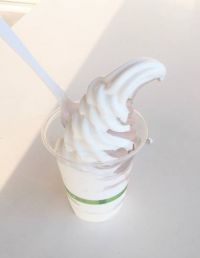 3月22日(水曜日)　中部空港倉庫店｜リコのおしりふきはいつまで安いかわかる方...