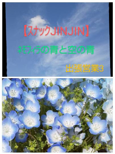 【スナックJINJIN】 ネモフィラの青と空の青   (出張営業３)